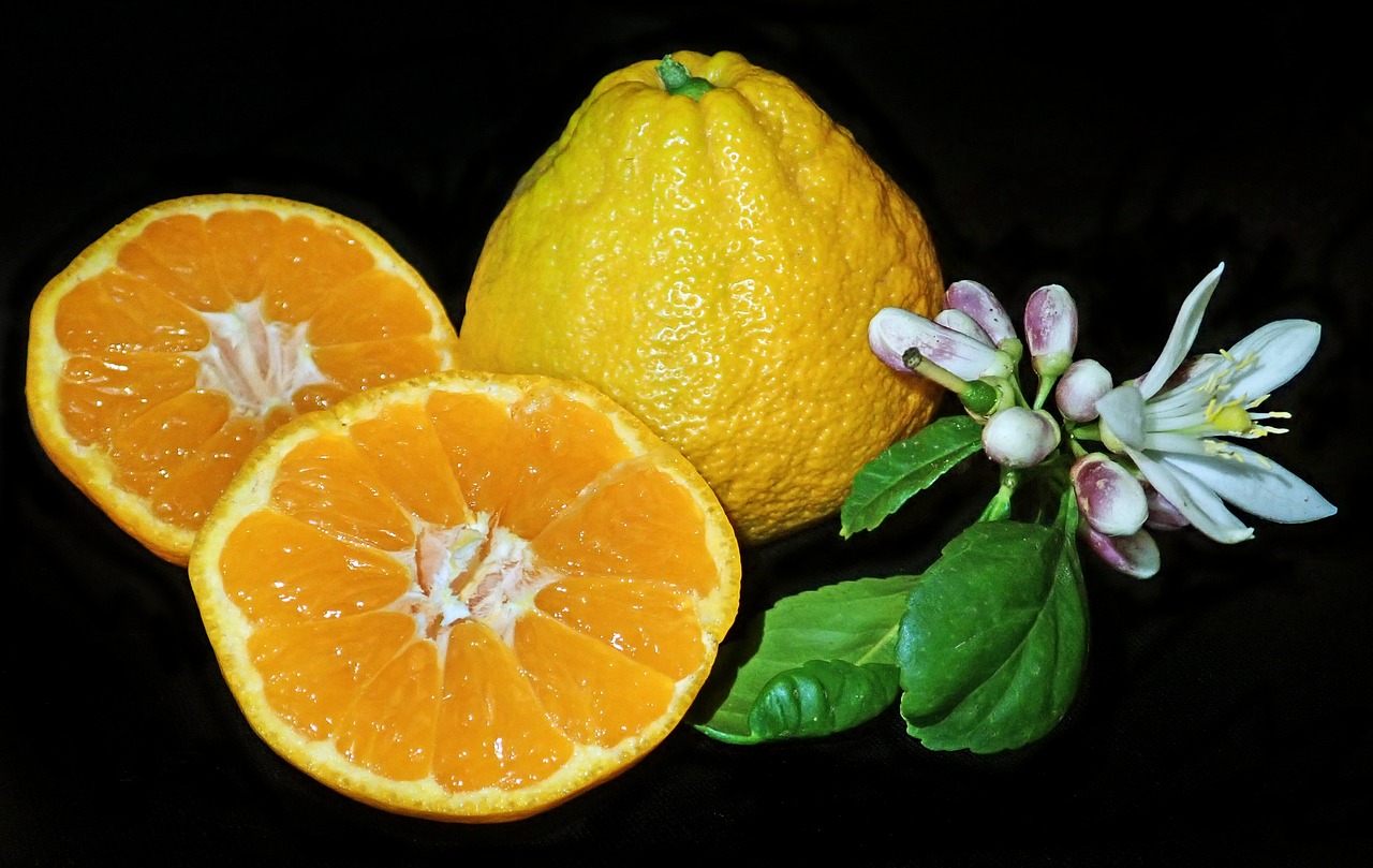 a couple of oranges sitting next to each other, a still life, by Leonard Bahr, trending on pixabay, in front of a black background, fruit and flowers, fuji choko, lemon demon