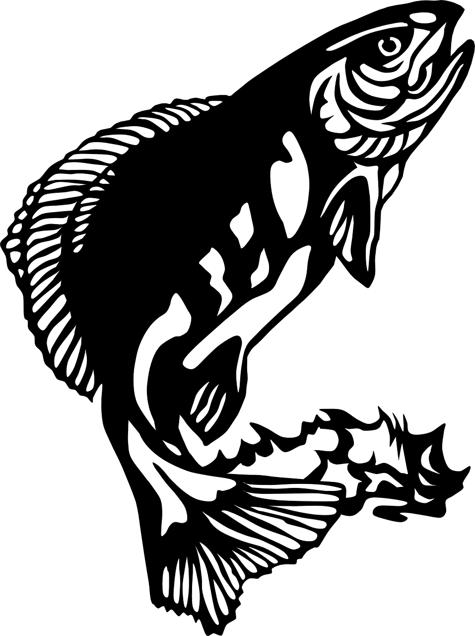 a close up of a fish on a black background, vector art, inspired by Katsushika Ōi, trending on pixabay, fine art, black stencil, !!! very coherent!!! vector art, kanji, female ascending