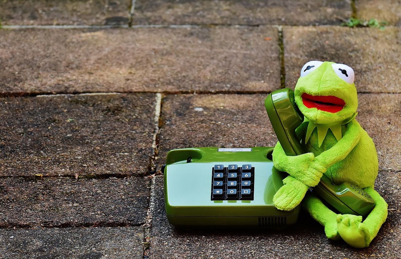 a stuffed animal sitting on the ground next to a phone, inspired by Károly Brocky, pexels, fine art, kermit the frog, telephone, computer wallpaper, talking