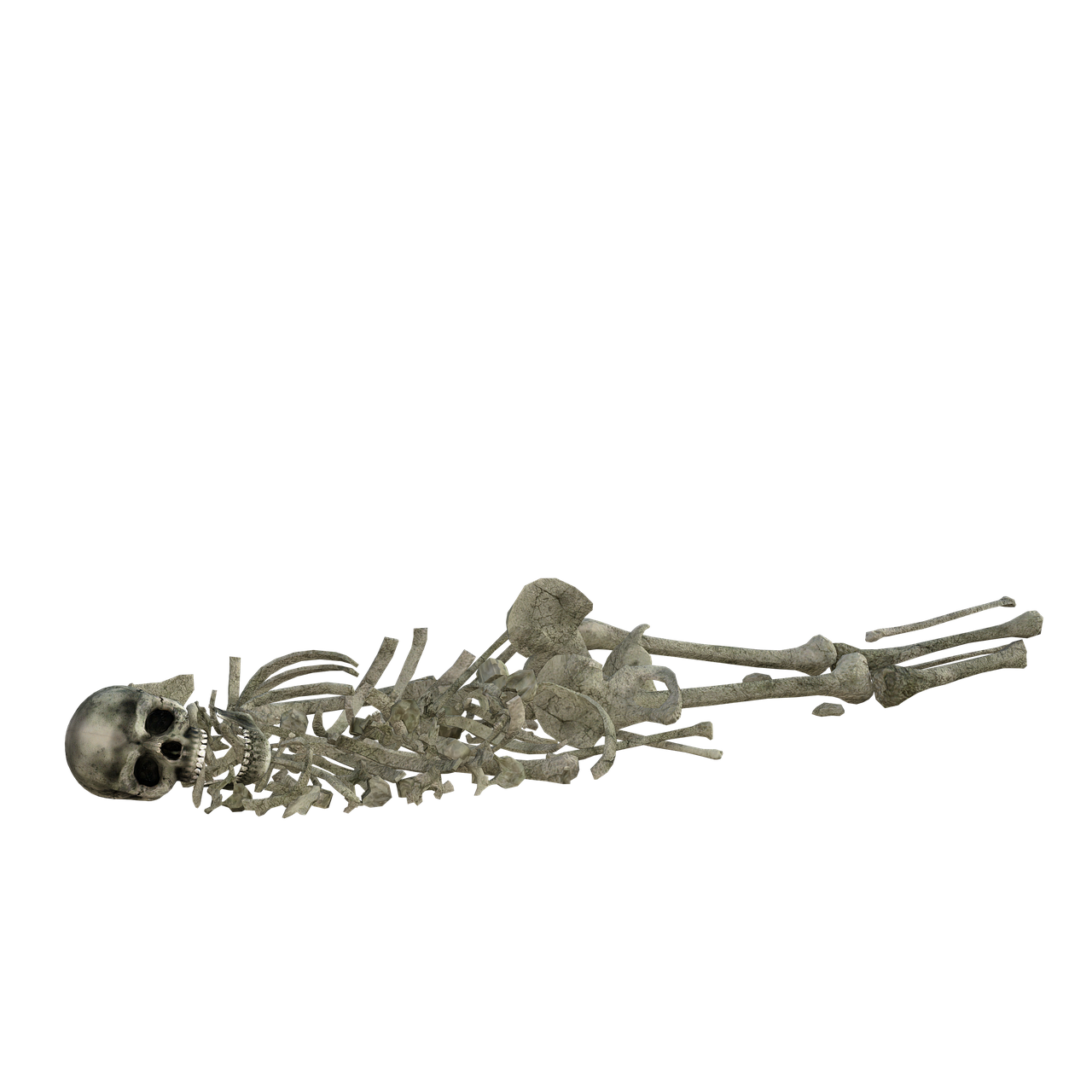 a close up of a skeleton on a black background, a digital rendering, by Robert Jacobsen, vanitas, pile of bodies, very long shot, mini model, lying on back