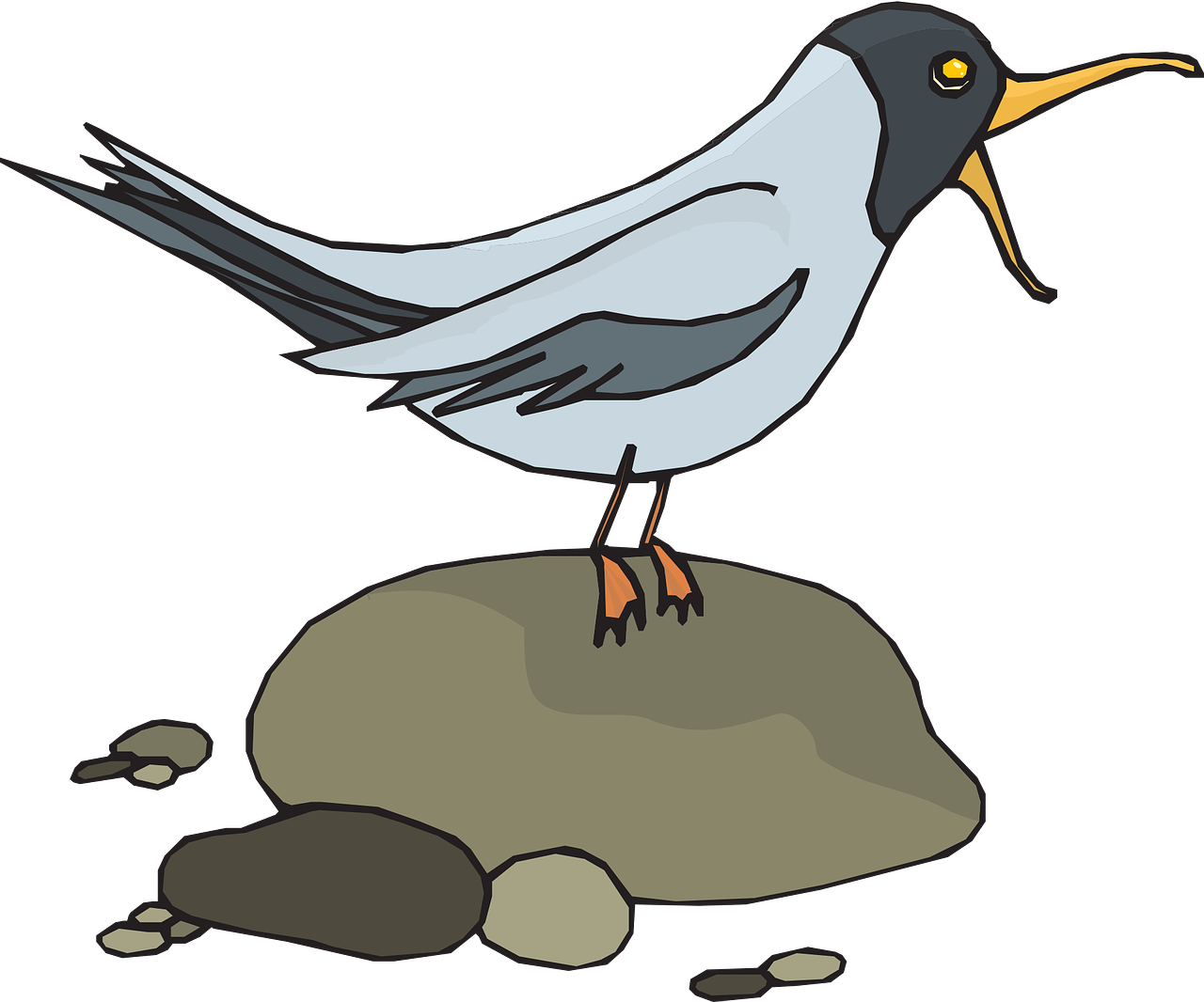 a black and white bird standing on a rock, an illustration of, full color illustration, wikihow illustration, on black background, cartoon style illustration