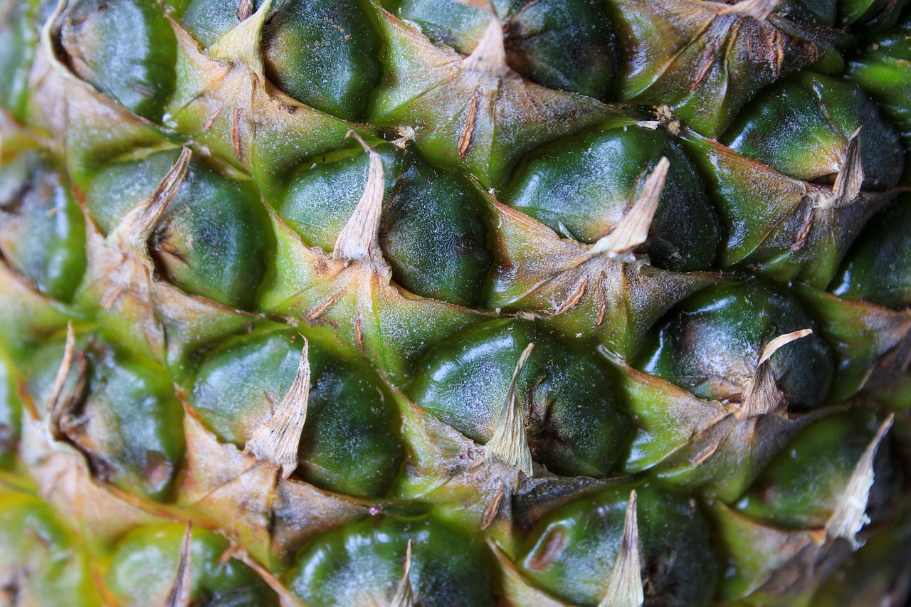 a close up of a pineapple on a table, a macro photograph, hurufiyya, green pupills, sanjulian. detailed texture, jamaican, modern very sharp photo