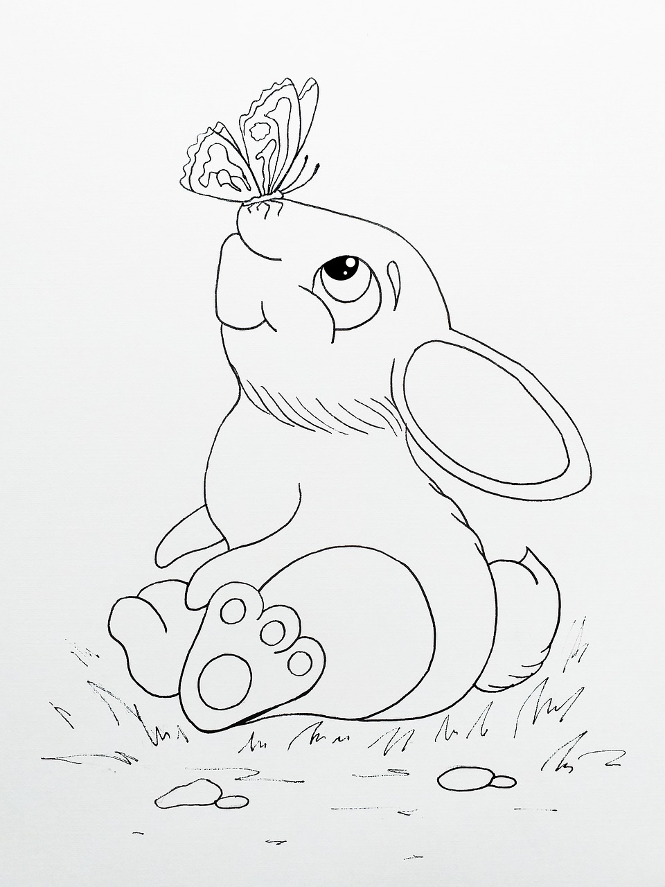 a drawing of a bunny with a butterfly on its head, an ink drawing, process art, clean ink detailed line drawing, traditional animation, drawing for children, bunny leg