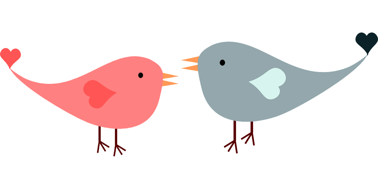 a couple of birds standing next to each other, an illustration of, pixabay, mingei, pink and red color style, with a black background, in meeting together, wikihow illustration