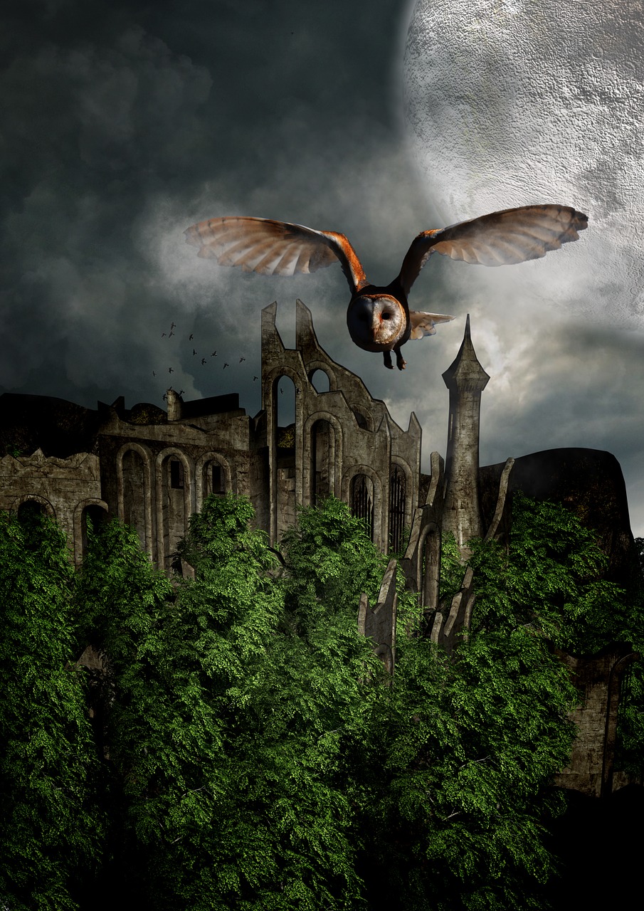 an owl flying over a castle with a full moon in the background, a matte painting, inspired by Franz Sedlacek, fantasy art, lost place photo, destroyed city in the background, overgrowth, mid shot photo