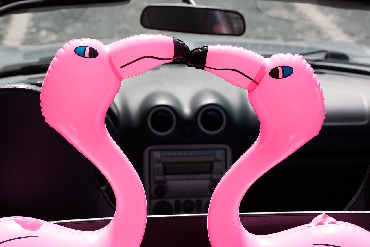 a couple of pink flamingos sitting on top of a car, a photo, inspired by Jeff Koons, tumblr, closeup of arms, inflateble shapes, eyes!, inside of a car