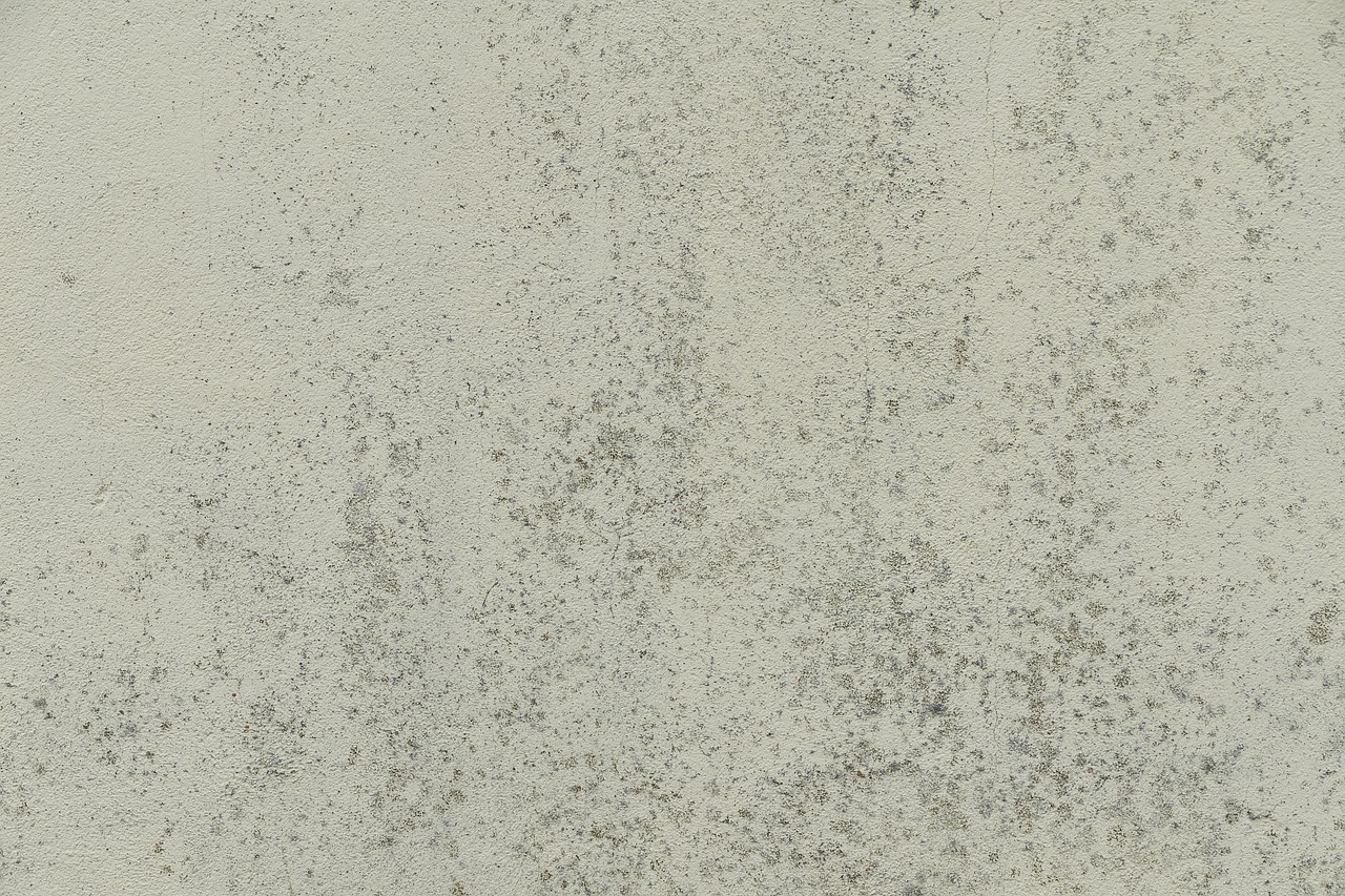 a red fire hydrant sitting on top of a cement wall, inspired by Grillo Demo, mingei, gray mottled skin, white finish, detail texture, flat grey color