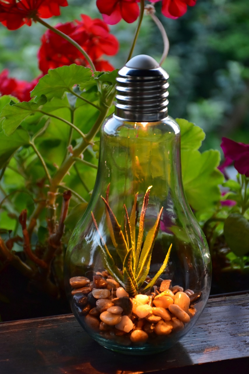 a light bulb with a plant inside of it, by Alexander Fedosav, environmental art, transparent corrugated glass, showpiece, seeds, vibrant setting
