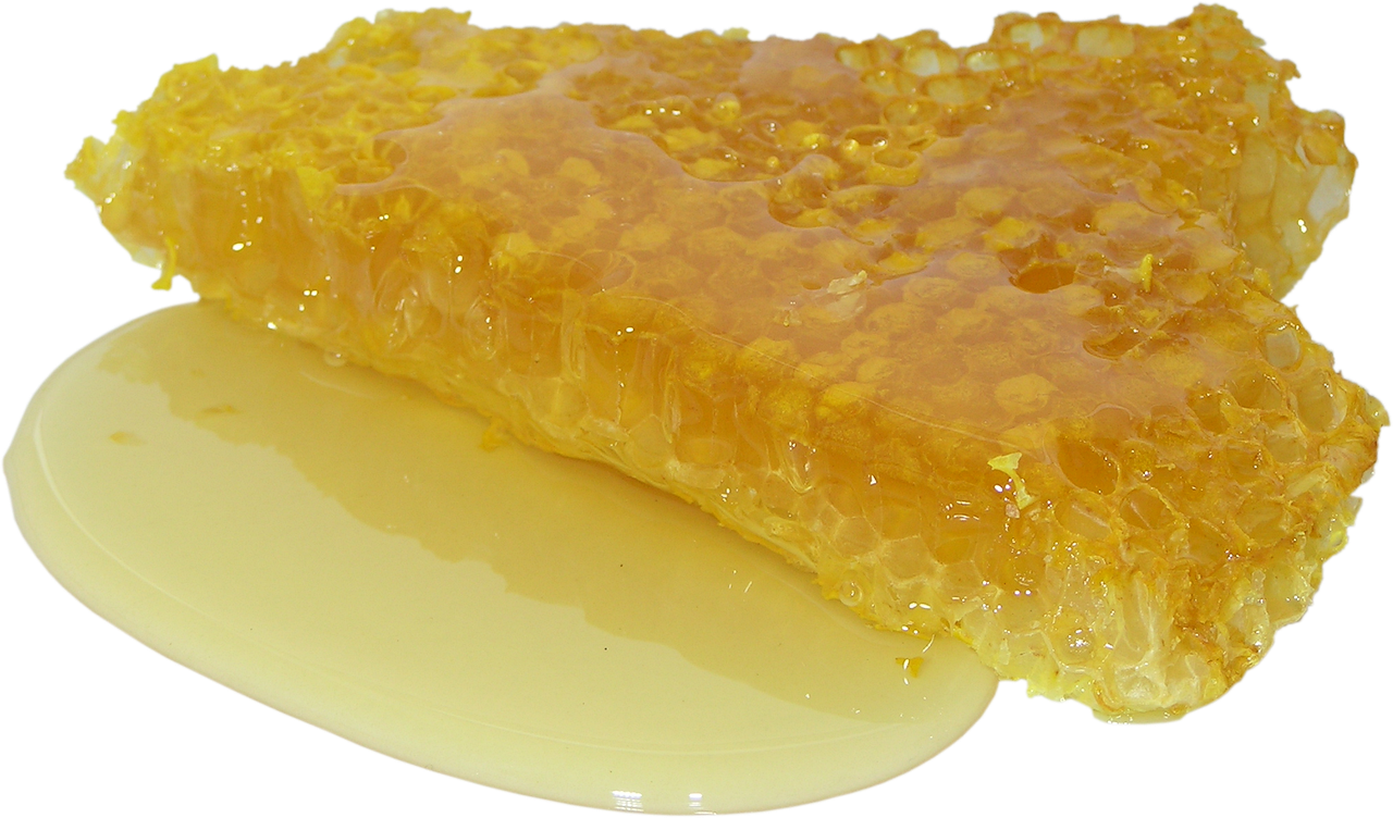 a piece of honey sitting on top of a white plate, pixabay, renaissance, brittle. highly detailed, hexagonal shaped, skinny, chiffon