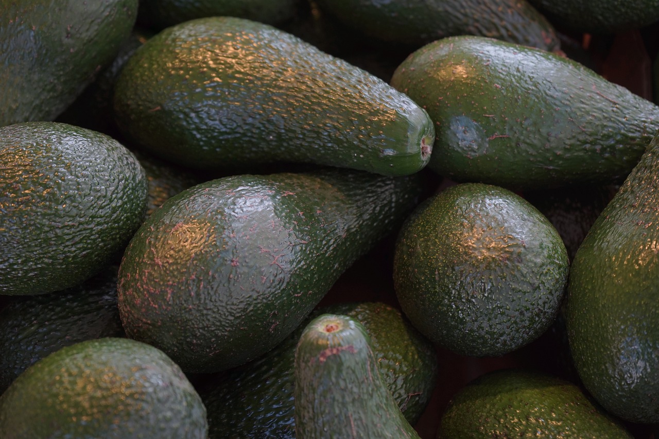 a pile of green avocados sitting on top of each other, a picture, pexels, hyperrealism, extreme detail 4 k, hd footage, highly detailed textured 8 k, 🦩🪐🐞👩🏻🦳