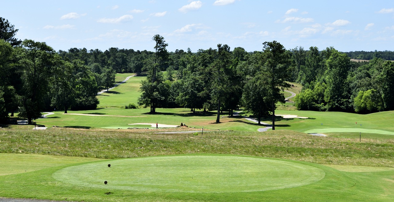 a golf course surrounded by trees on a sunny day, renaissance, stathmore 2 0 0, round-cropped, alexis franklin, top of the hill