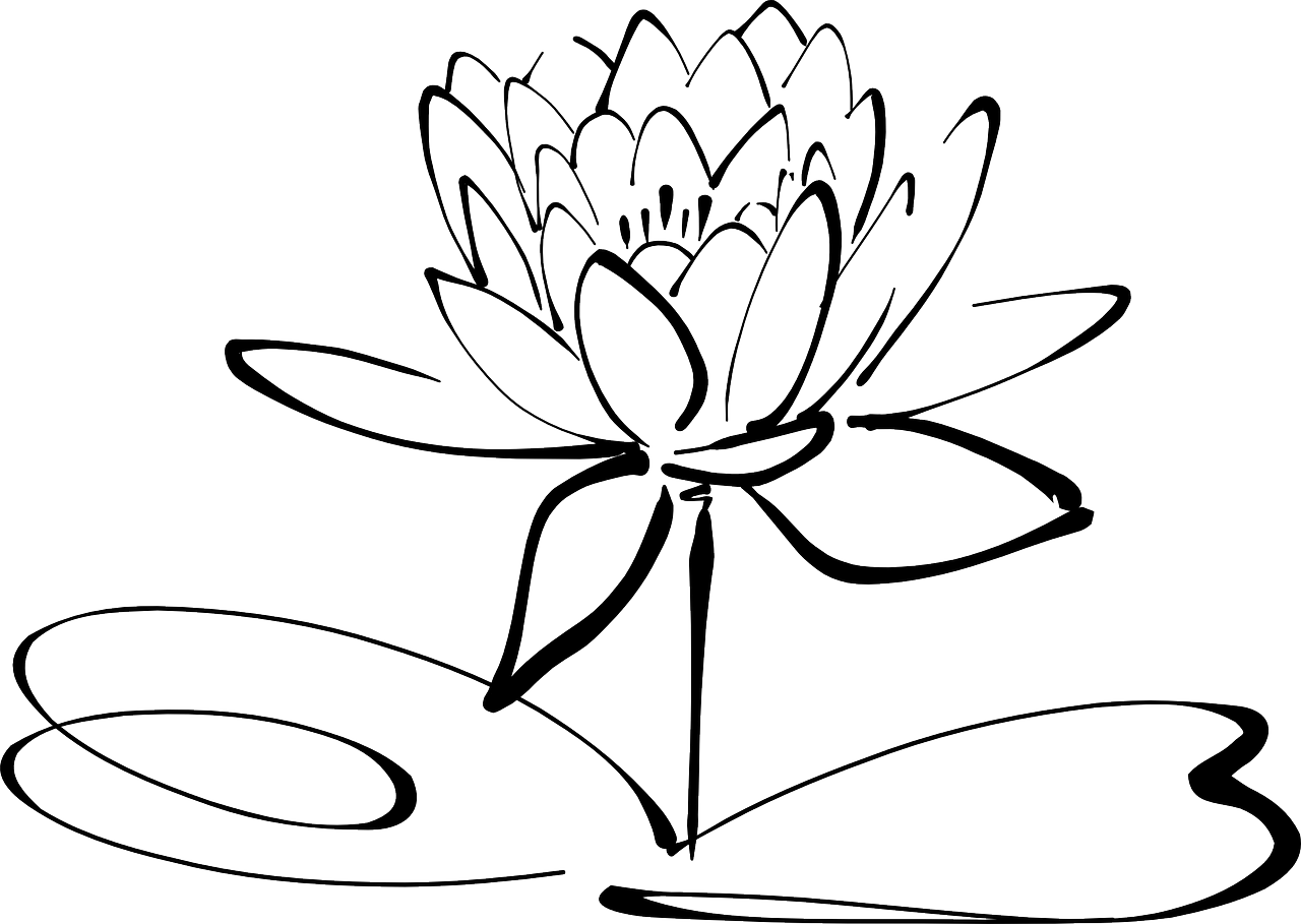 a black and white drawing of a flower, lineart, by Andrei Kolkoutine, deviantart, hurufiyya, waterlily pond, pc wallpaper, neon outline, wide screenshot