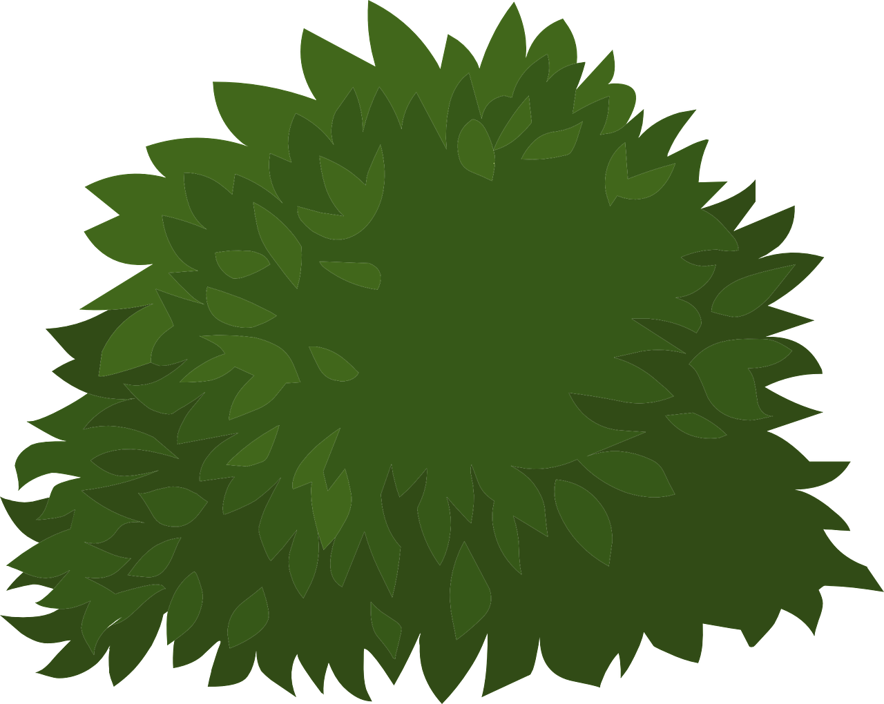 a green bush with leaves on a black background, a digital painting, inspired by Masamitsu Ōta, hurufiyya, thick fluffy tail, roofed forest, lineless, poofy