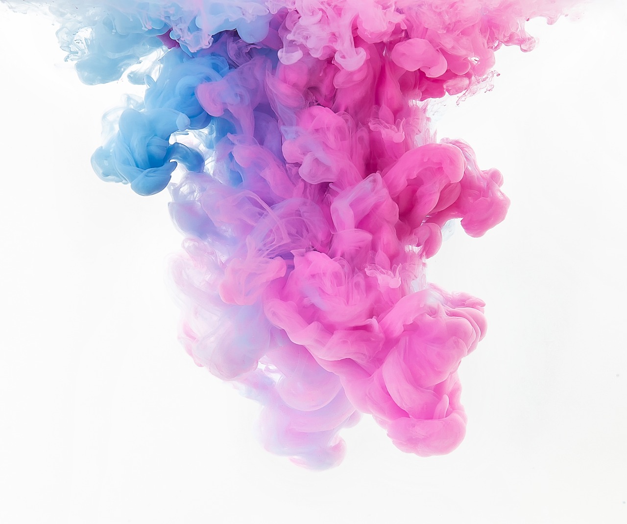 a close up of a pink and blue substance, inspired by Kim Keever, pexels, on a white background, istock, background image, floating in perfume