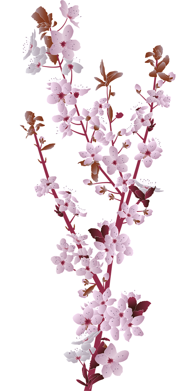 a vase filled with pink flowers on top of a table, a digital rendering, inspired by Katsushika Ōi, sōsaku hanga, on black background, embroidered velvet, cherry blossom tree, background image