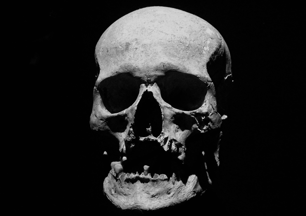 a black and white photo of a human skull, a portrait, by István Réti, flickr, richard iv the roman king photo, photo taken in 1989, mouth of hell, 4 k -