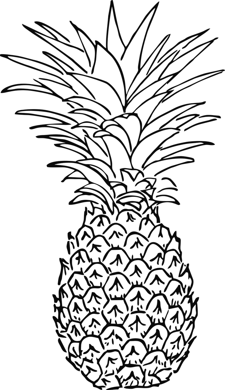 a pineapple on a black background, lineart, by Andrei Kolkoutine, deviantart, full screen, gustave dore\' background, entirely black full page black, bottom - view