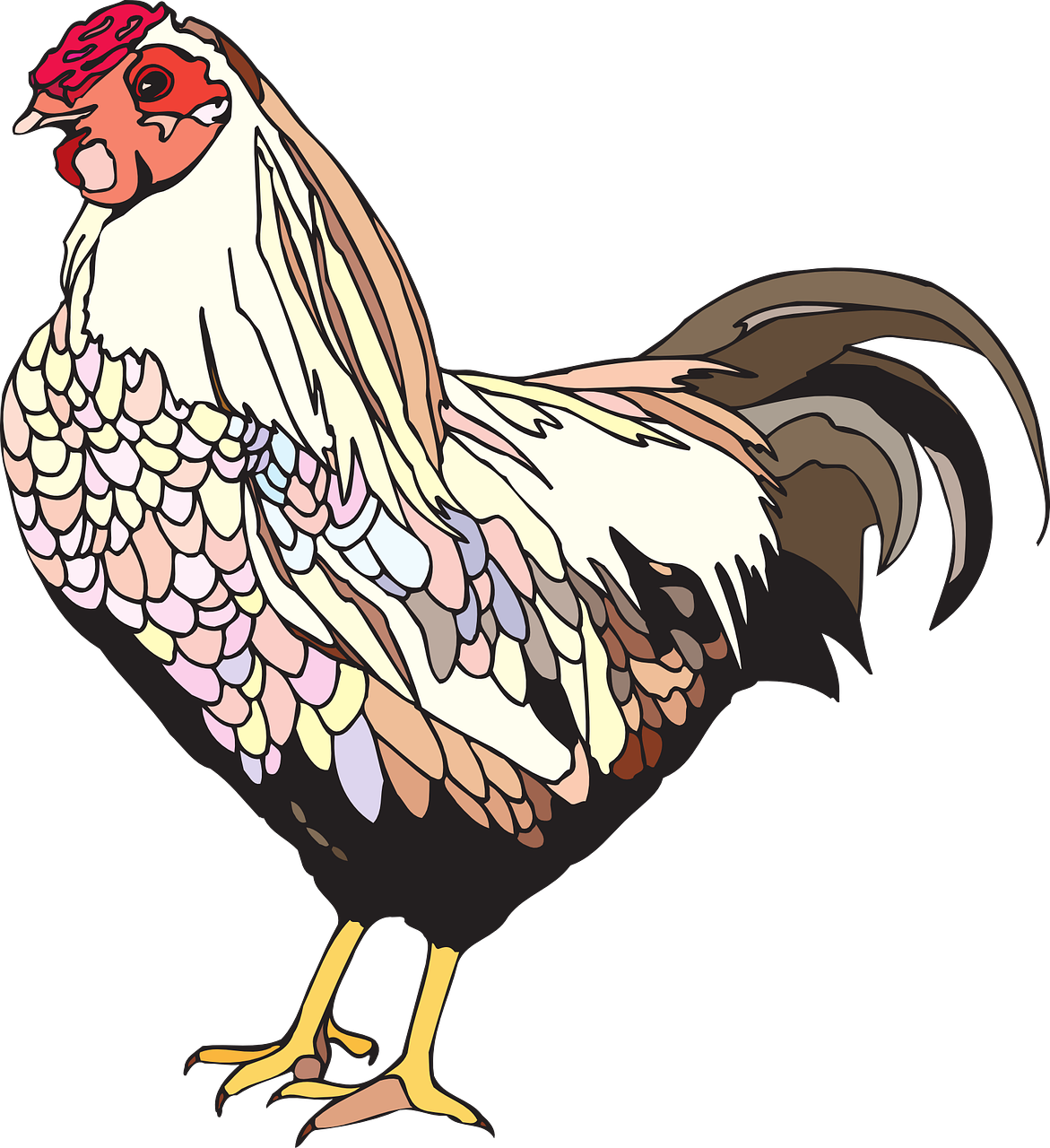 a close up of a rooster on a black background, an illustration of, multicolored vector art, rendered illustration, mottled coloring, front side view full sheet