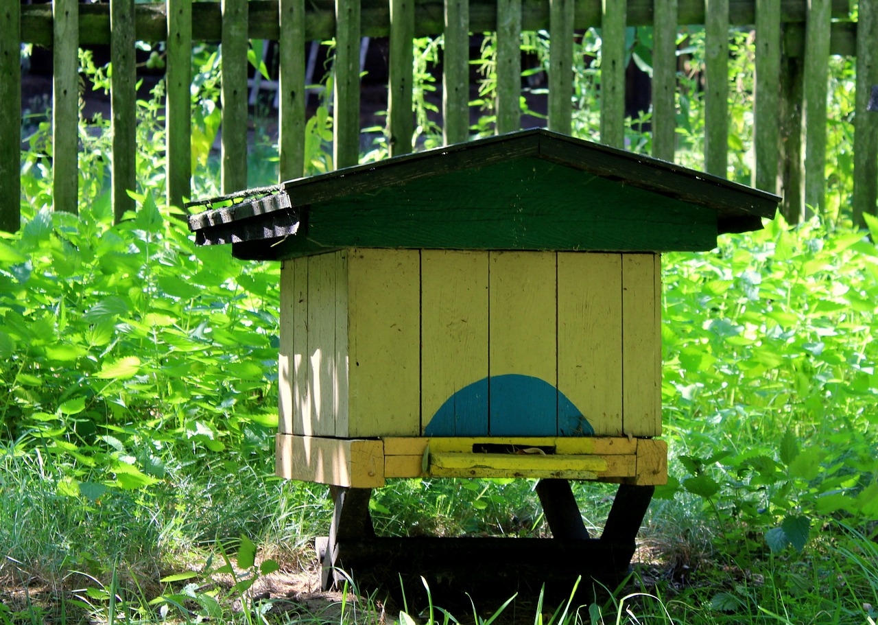 a bee house sitting in the middle of a field, a photo, pixabay, plein air, some yellow green and blue, in a suburban backyard, shade, back lit