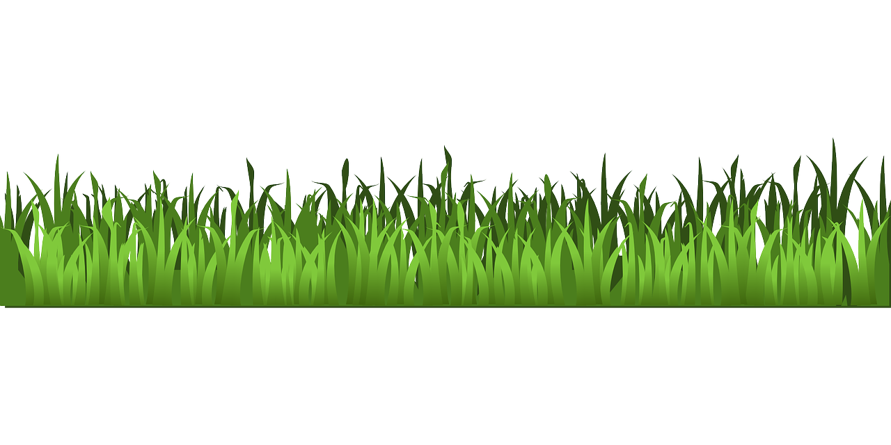 a row of green grass on a white background, pixabay, conceptual art, clean cel shaded vector art, tape, its name is greeny, with lots of vegetation