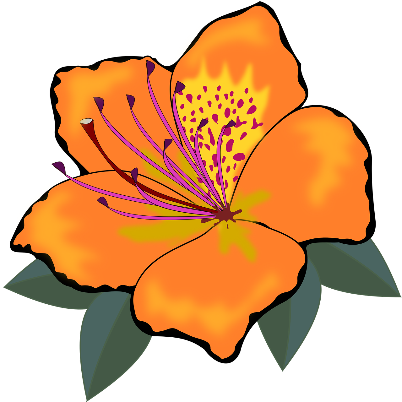 an orange flower with green leaves on a black background, a digital rendering, very flat shading, some purple and orange, hibiscus, pink and orange colors