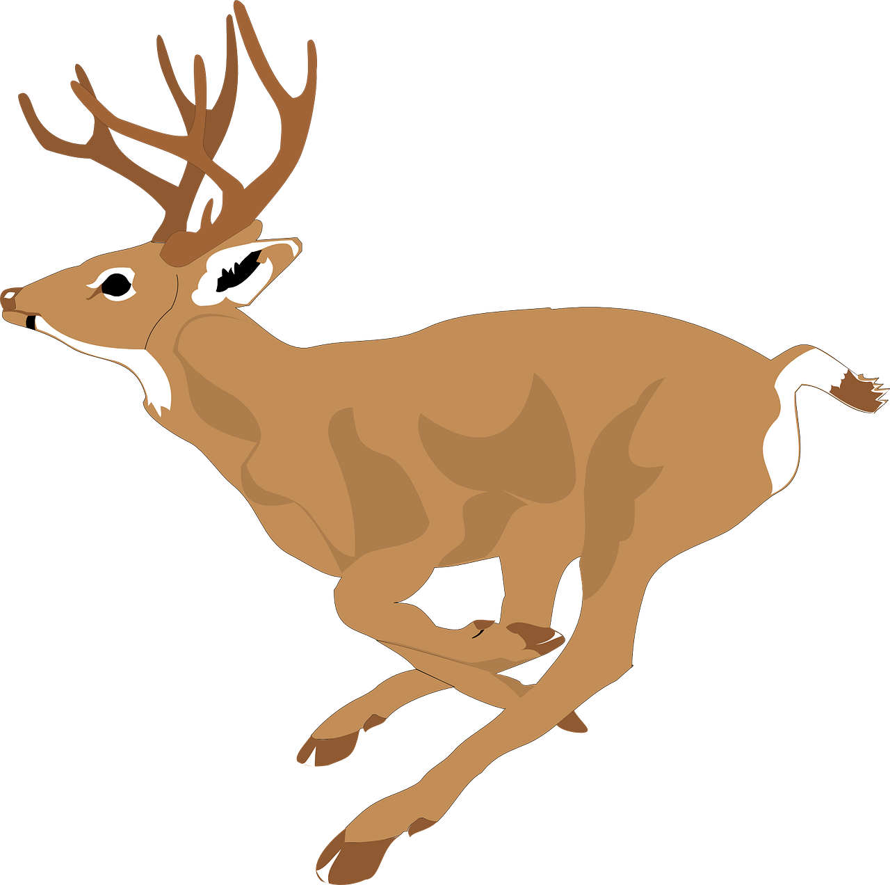 a close up of a deer on a black background, an illustration of, mingei, mid air shot, side view centered, colored accurately, 3/4 view from below