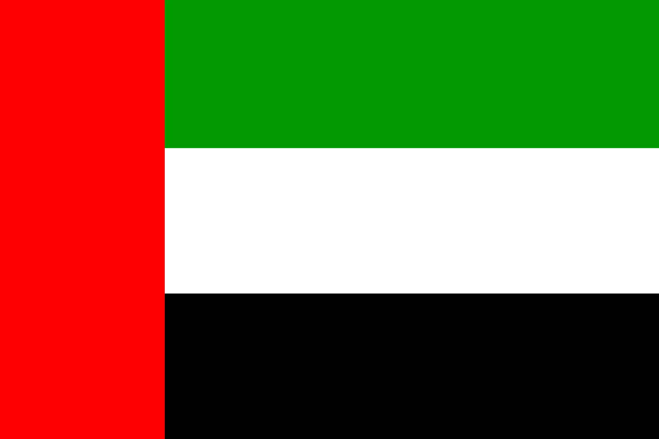 a picture of the flag of the united of america, hurufiyya, sheik mohammad ruler of dubai, gta : dubai, facing right, about 3 5 years old