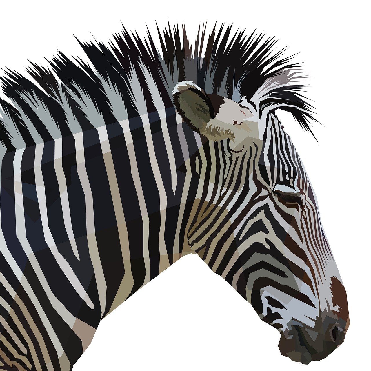 a close up of a zebra's head on a white background, a digital painting, checkered spiked hair, painterly illustration, dazzle camouflage, side profile centered