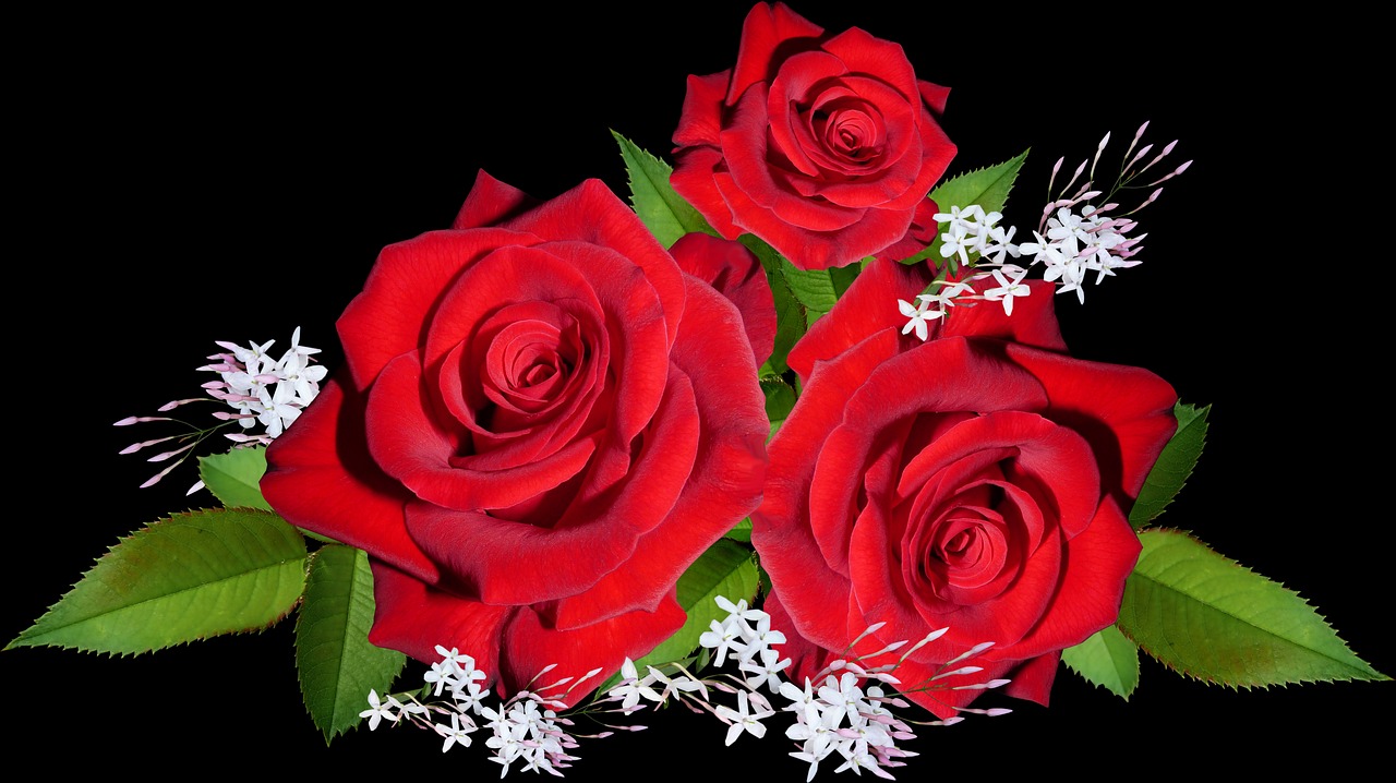 a bouquet of red roses on a black background, a digital rendering, widescreen shot, beautiful flower, allan houser, red white background