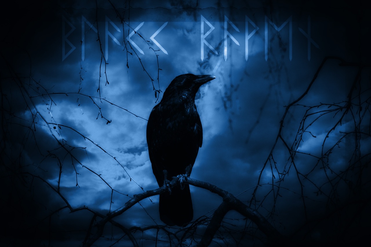 a black bird sitting on top of a tree branch, an album cover, inspired by Samuel Hieronymus Grimm, gothic art, blues, wallpaper!, dark runes, drake