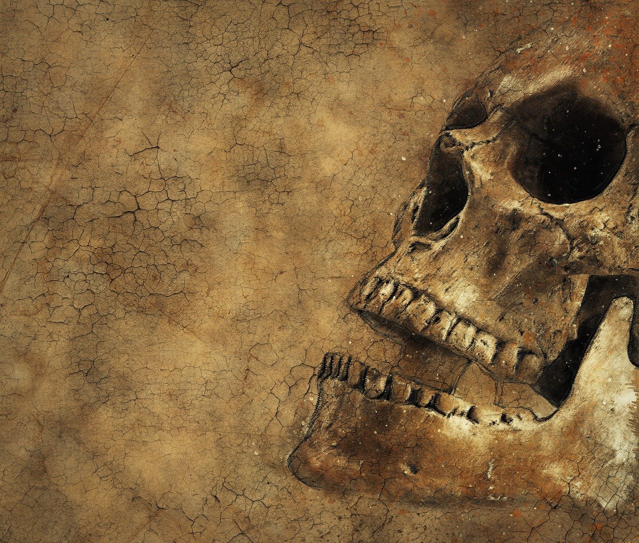 a close up of a skull on a wall, digital art, shutterstock, ancient interior tent background, dirt on face, overhead, teeth