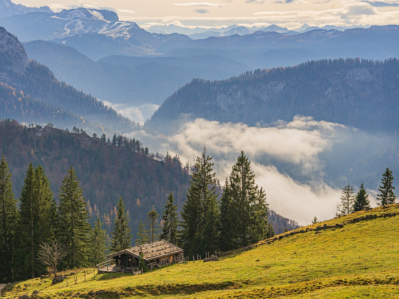 a cow standing on top of a lush green hillside, a stock photo, by Franz Hegi, shutterstock, log cabin beneath the alps, winter mist around her, dramatic autumn landscape, covered in clouds