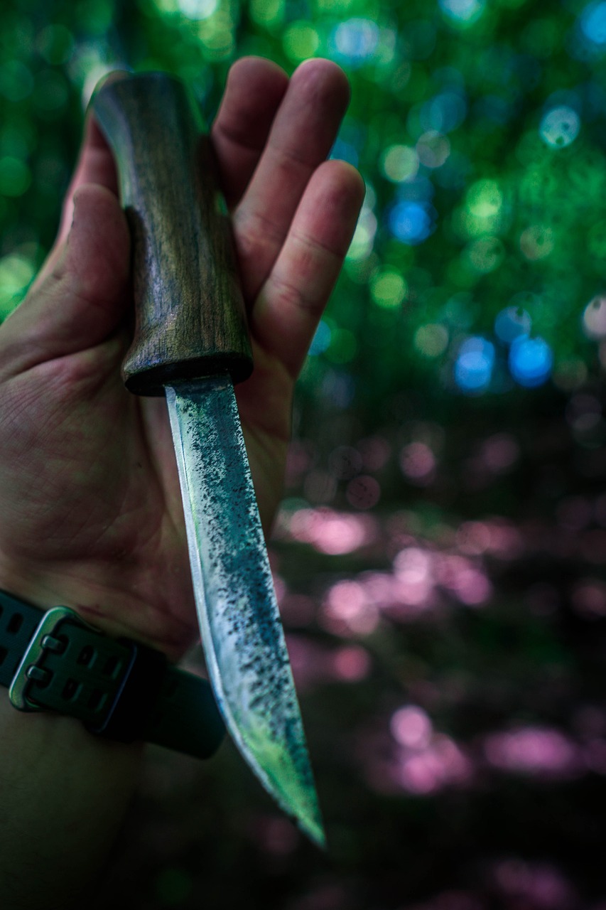 a person holding a knife in their hand, by Koloman Sokol, unsplash, magical forest in the background, close up shot of an amulet, smooth clean texture, colorful clear sharp focus