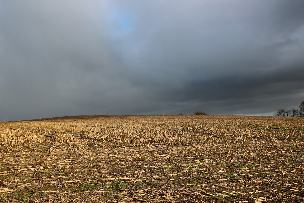 a red fire hydrant sitting on top of a dry grass covered field, by David Simpson, flickr, dark storm clouds above, tall corn in the foreground, panorama distant view, iowa