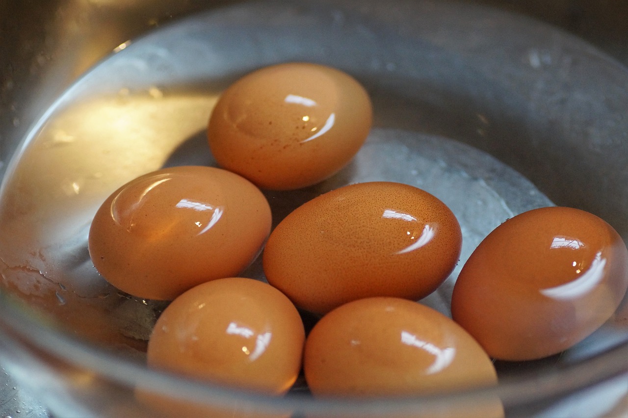 a bowl filled with eggs sitting on top of a counter, a picture, by Linda Sutton, flickr, closeup photo, translucent eggs, close - ups, tungsten