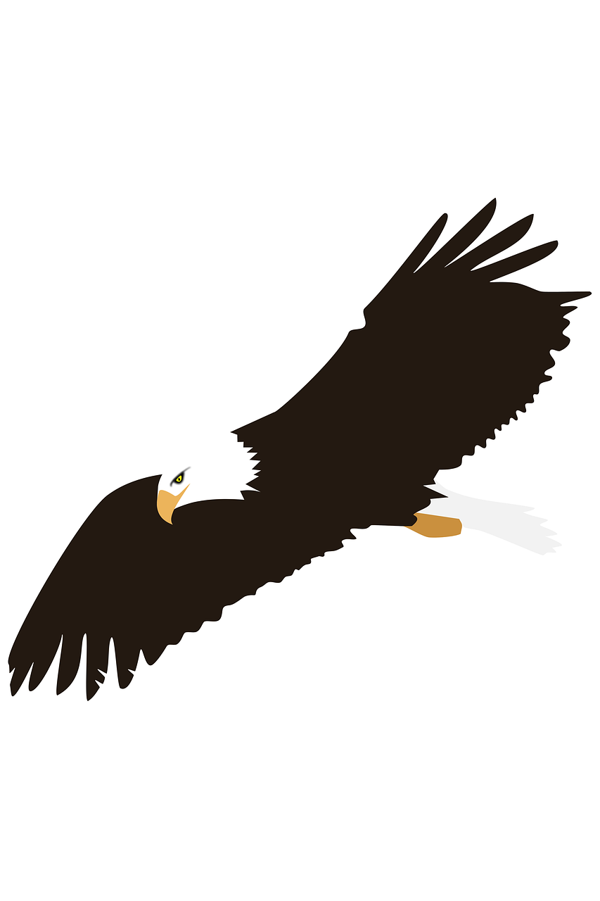 an eagle flying in the sky with its wings spread, an illustration of, hurufiyya, white background, high-angle, flat color, usa