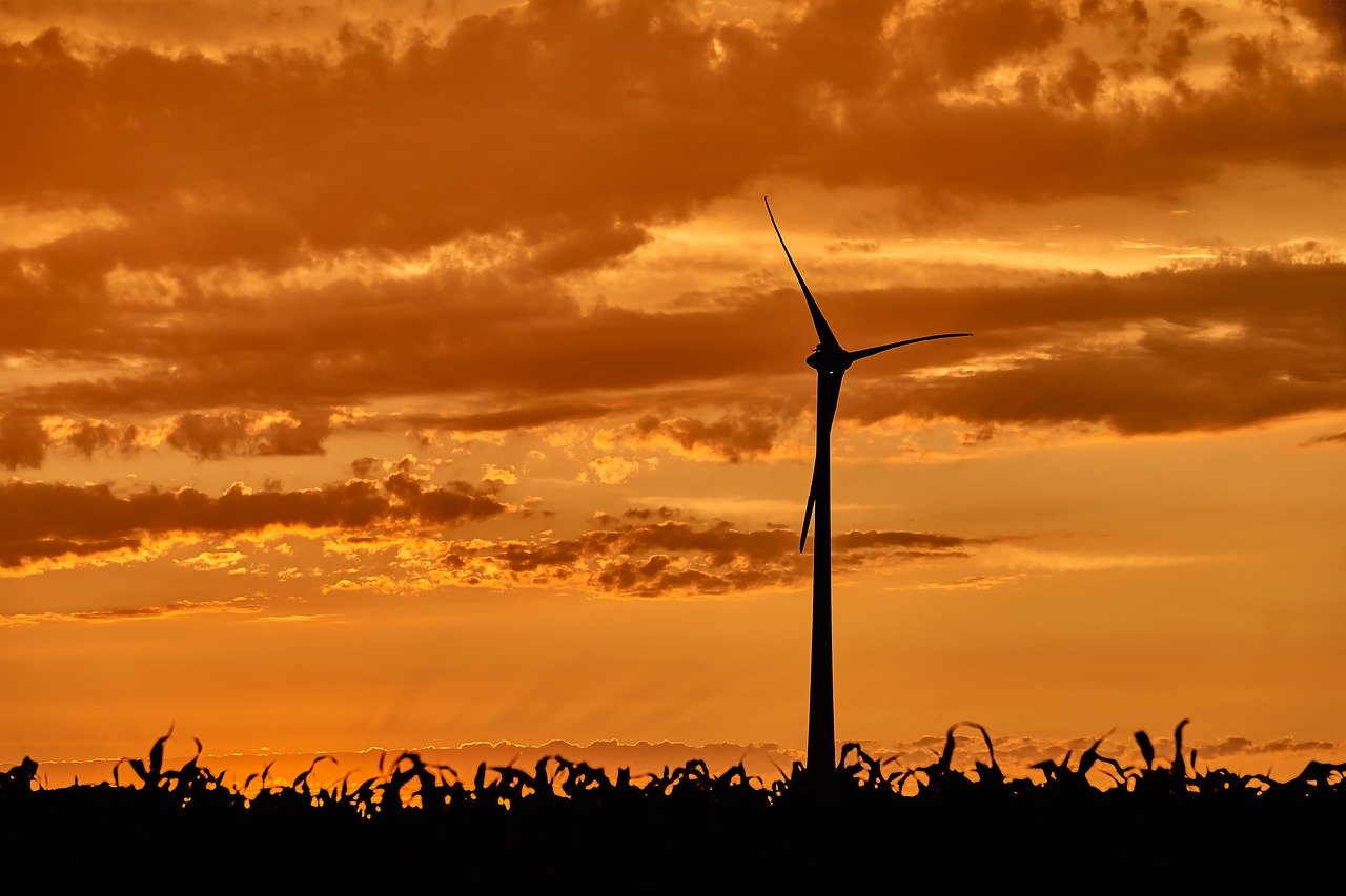 a wind turbine in a corn field at sunset, usa-sep 20, orange electricity, silhouetted, captured on canon eos r 6