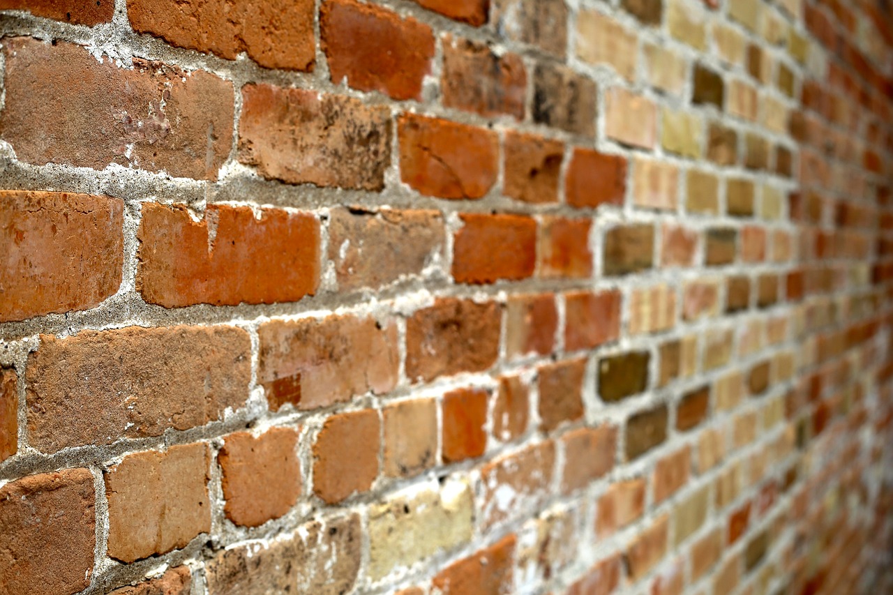 a fire hydrant in front of a brick wall, minimalism, wideangle pov closeup, old brick walls, varying thickness, portait photo