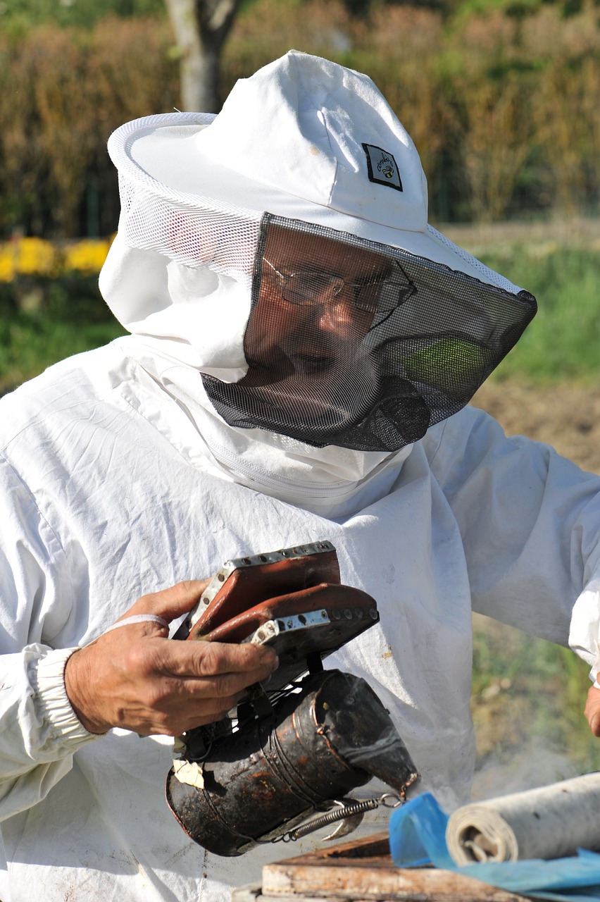a close up of a person wearing a bee suit, plein air, high - tech, tiziano vecelli, white, training