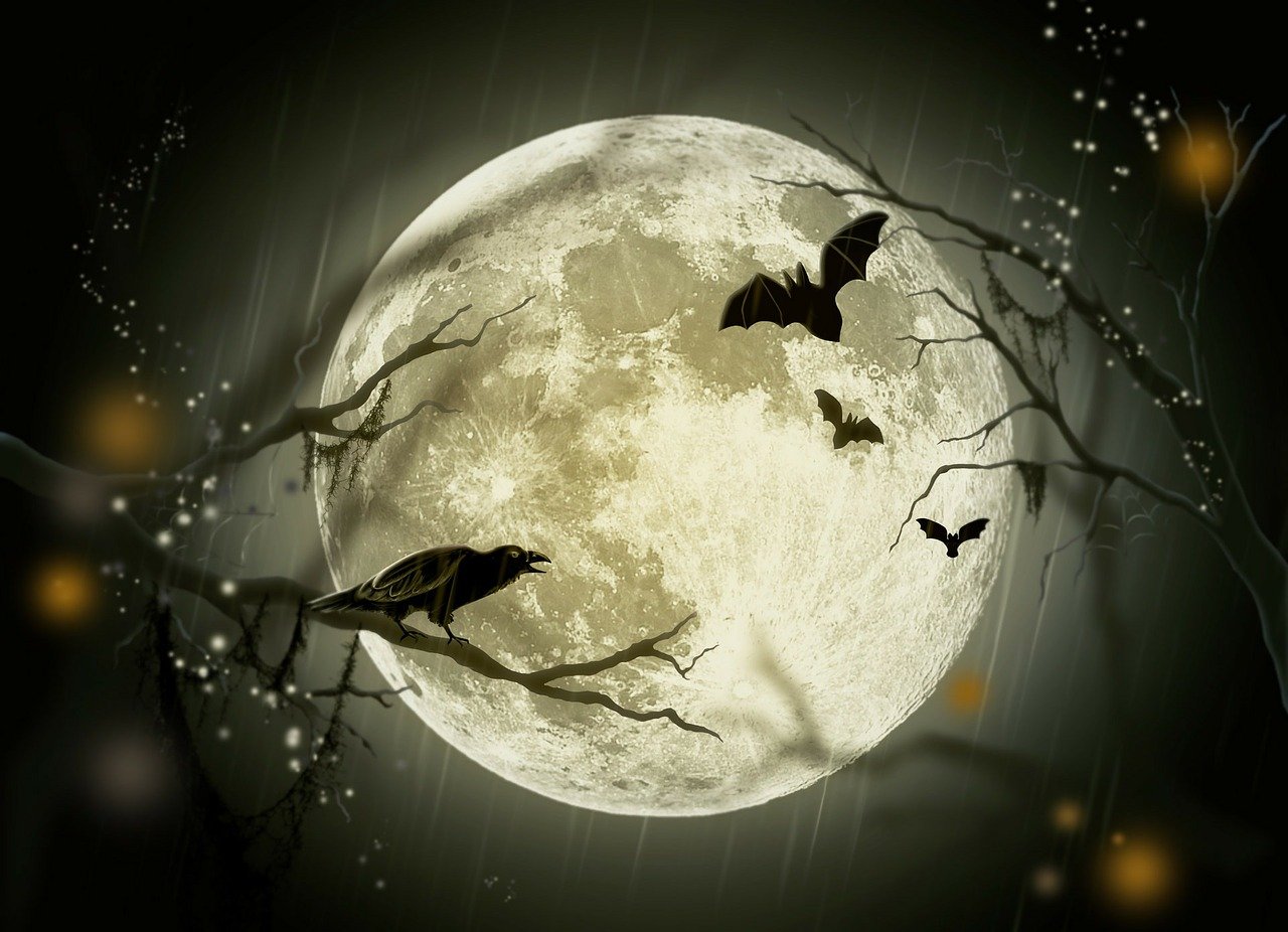 two birds sitting on a branch in front of a full moon, concept art, gothic art, halloween wallpaper with ghosts, swarm of bats, background image, eerie ”