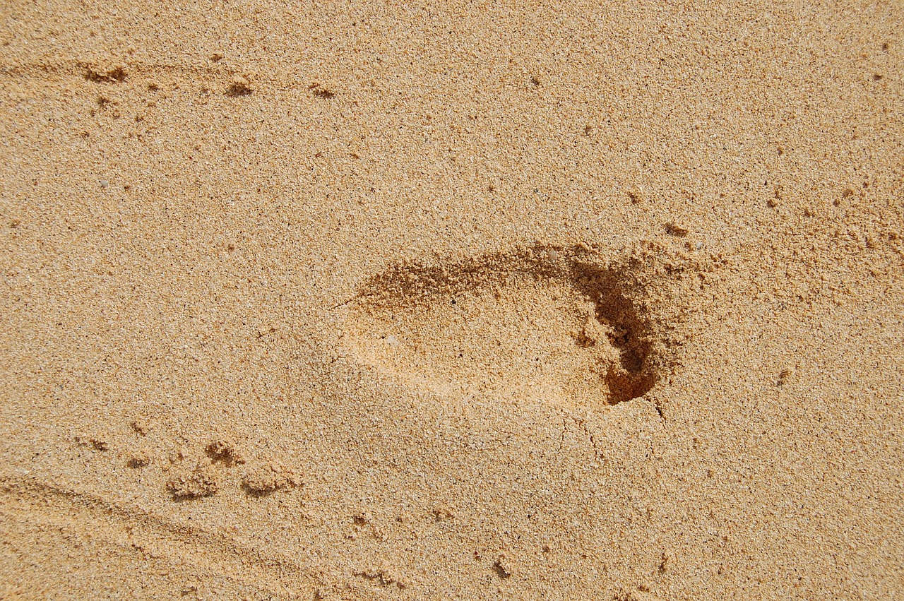 a foot print in the sand on a beach, a stipple, by Bernardino Mei, phone wallpaper, hunting, light tan, sri lanka