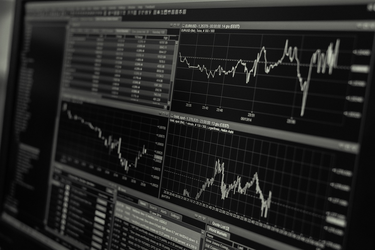 a black and white photo of a computer screen, a screenshot, pexels, analytical art, trading stocks, where a large, brown, detailed ”