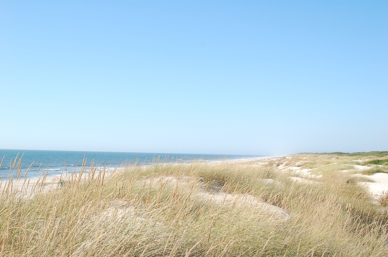 a man standing on top of a sandy beach next to the ocean, a picture, inspired by Tom Wänerstrand, minimalism, long grass in the foreground, horizon forbideen west, gradins view, coherent photo
