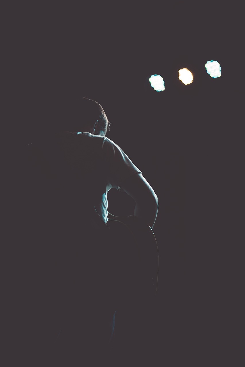 a woman standing in the dark with her back to the camera, a photo, figuration libre, live concert, photo of a man, simplistic, illustration