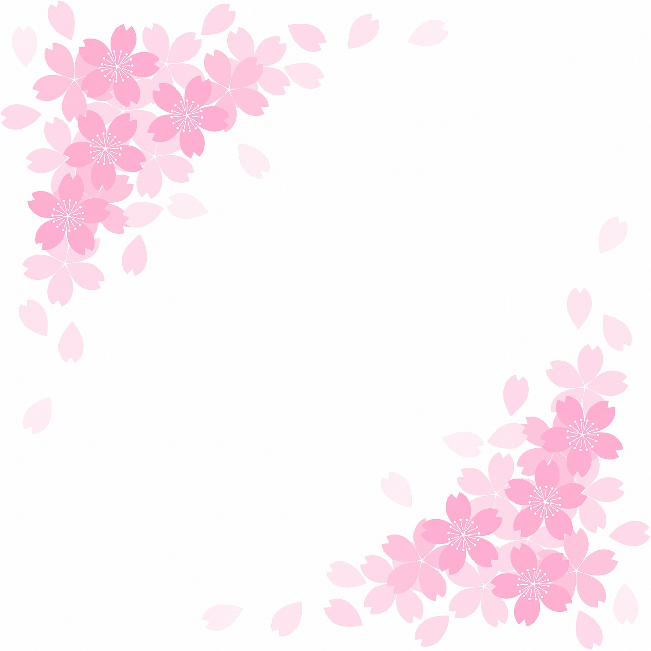 a picture of some pink flowers on a white background, a picture, sōsaku hanga, background(solid), cherry blossom falling, corners, background image