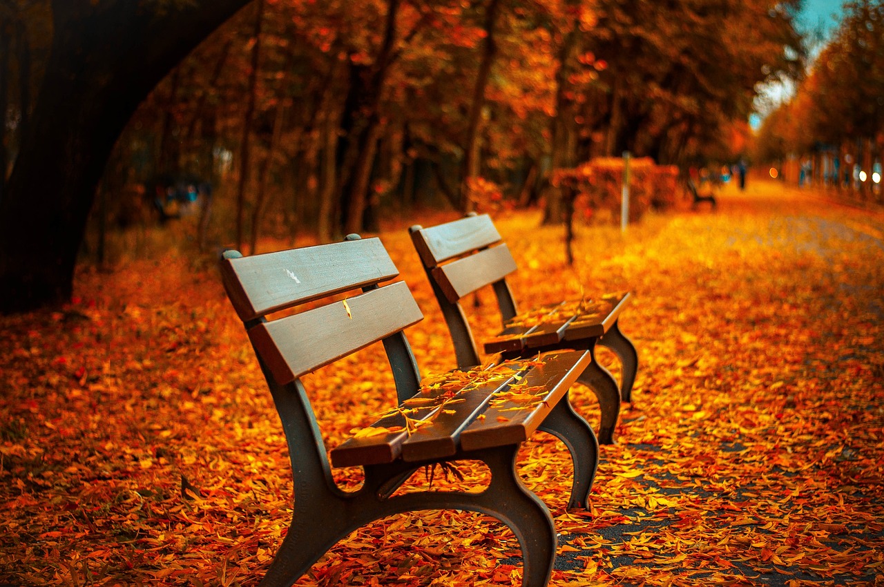a row of park benches sitting next to each other, a picture, by Maksimilijan Vanka, pexels, orange and brown leaves for hair, 4k vertical wallpaper, gold, two crutches near bench
