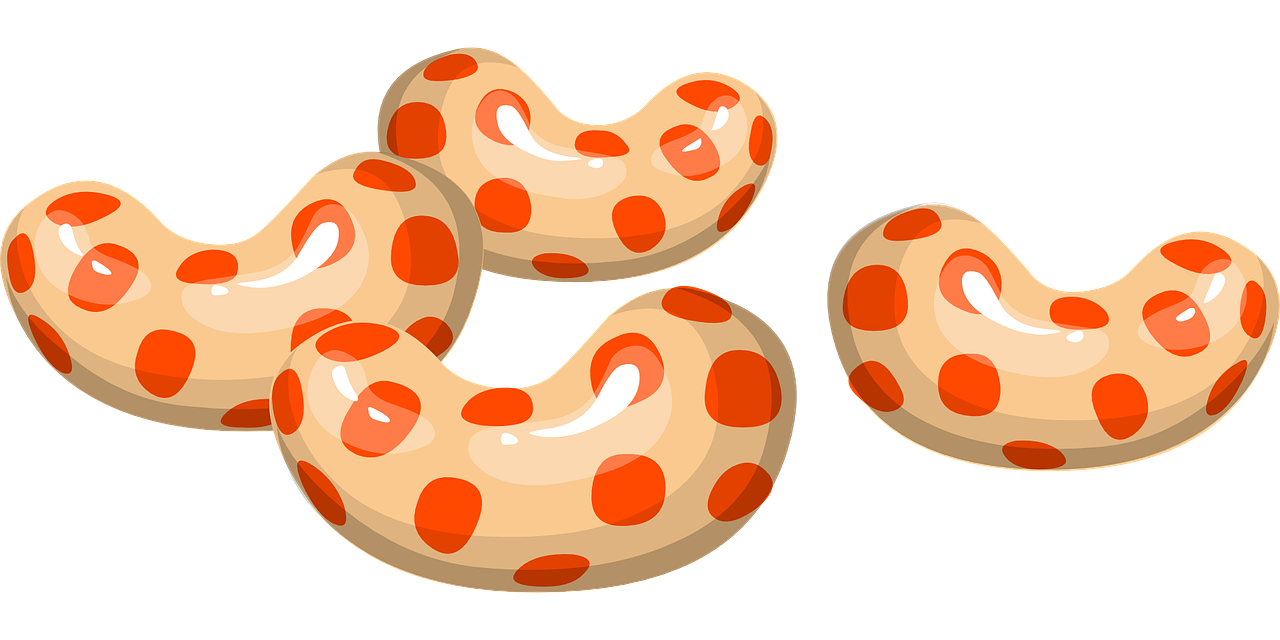 a couple of doughnuts sitting on top of each other, inspired by Yayoi Kusama, pixabay, pop art, sausages, shrimp, clipart, three fourths view