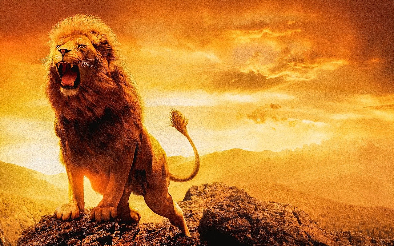 a lion standing on top of a rock, poster art, trending on pixabay, romanticism, epic red - orange sunlight, still from a live action movie, banner, high definition screenshot