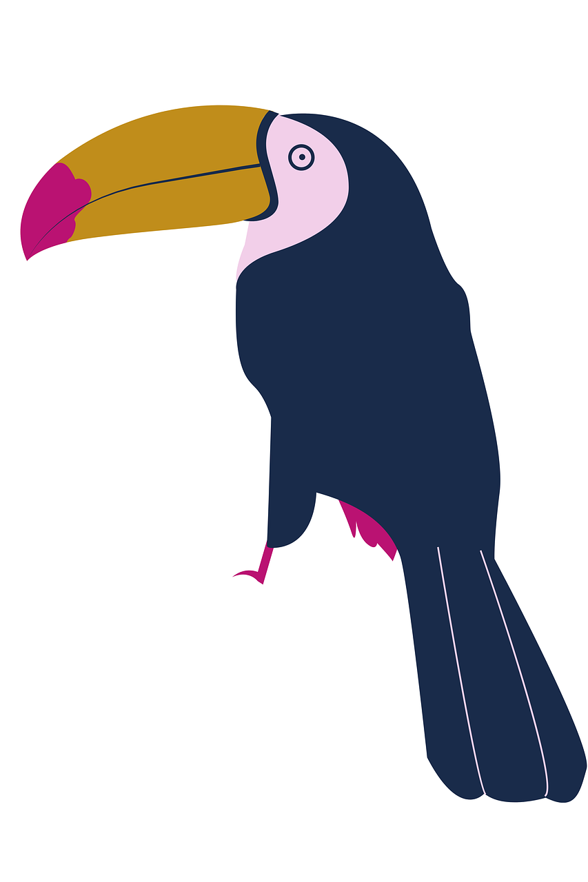 a colorful bird sitting on top of a white surface, an illustration of, by Paul Bird, figuration libre, 6 toucan beaks, long pointy pink nose, vectorized, facing right