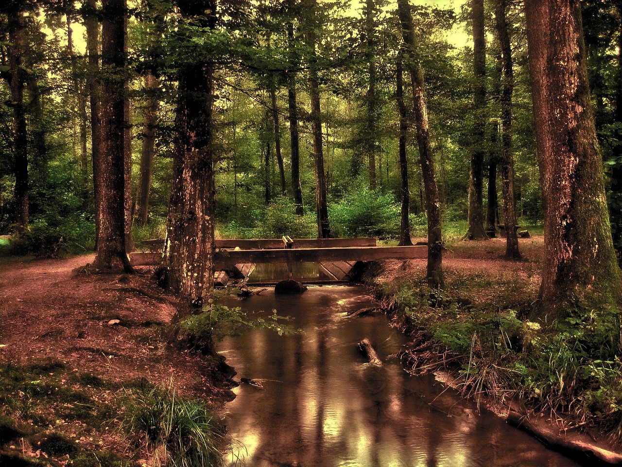 a small stream running through a forest filled with trees, inspired by Henri Biva, flickr, wood bridges, [[fantasy]], summer evening, belgium
